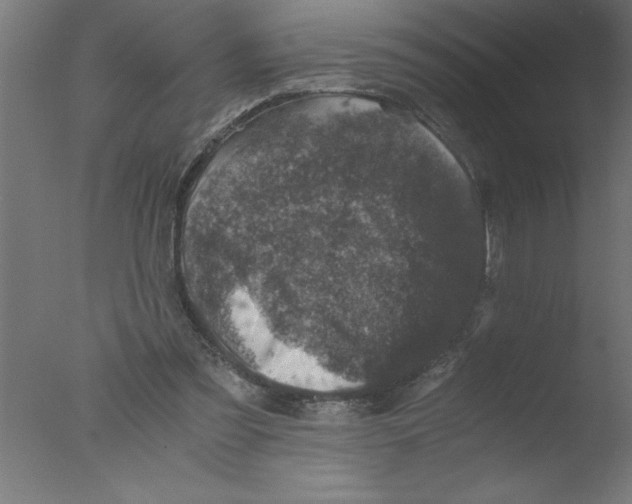 X0000076030301200610201834