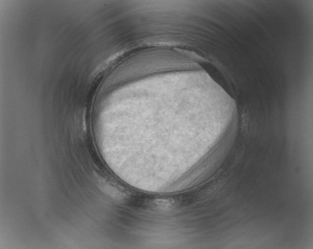 X0000076030302200610201834