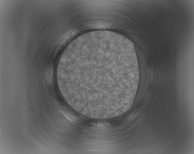 X0000076030304200610201834