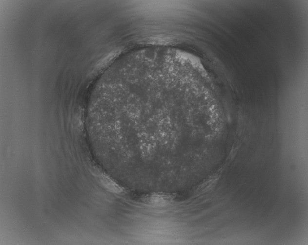 X0000076030305200610201834