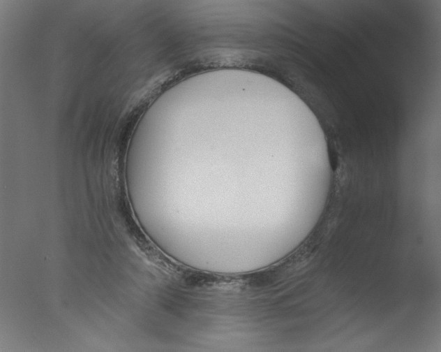 X0000076030306200610201834