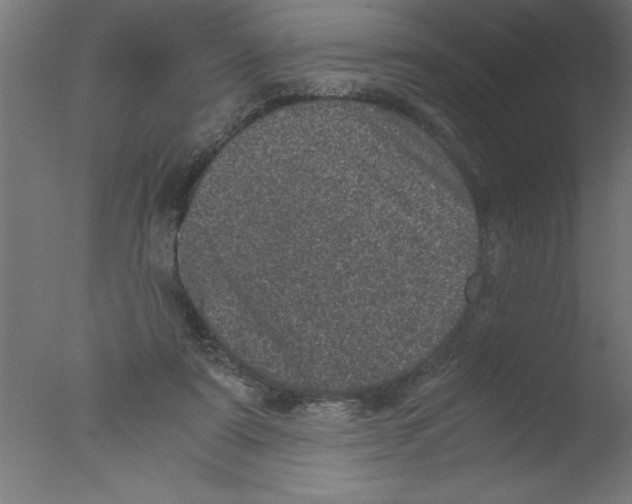 X0000076030307200610201834