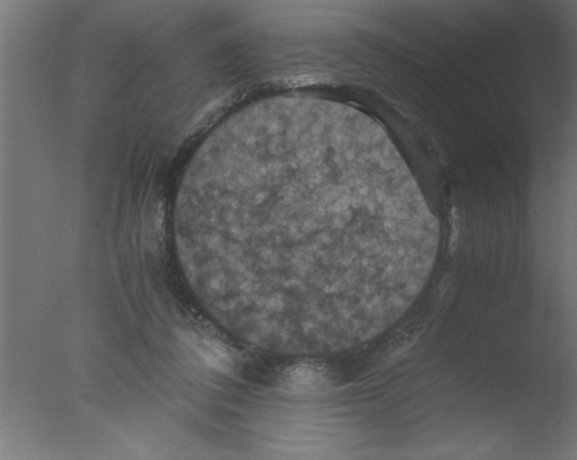 X0000076030308200610201834