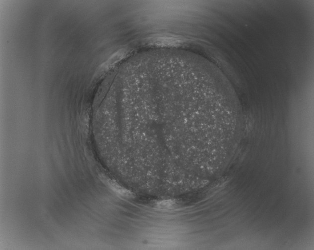 X0000076030309200610201834