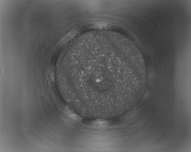 X0000076030313200610201834