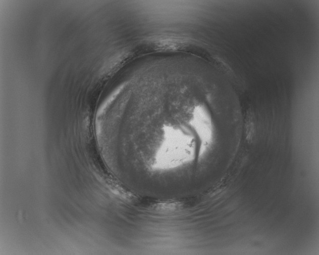 X0000076030314200610201834