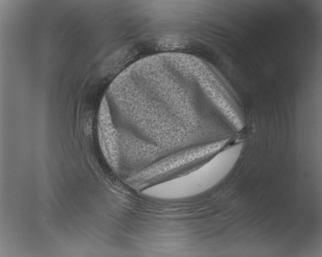 X0000076030315200610201834