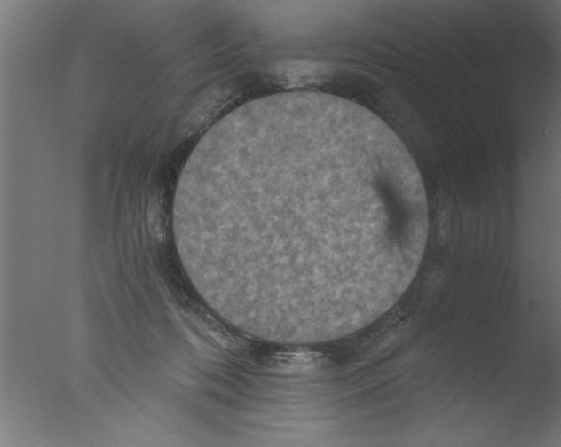 X0000076030316200610201834