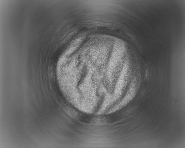 X0000076030317200610201834