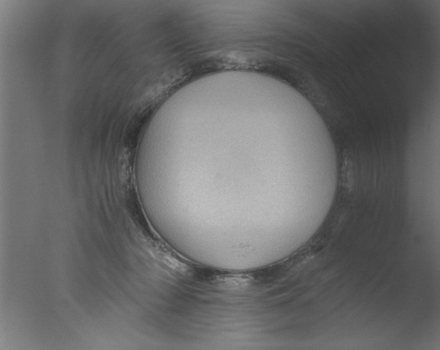 X0000076030318200610201834