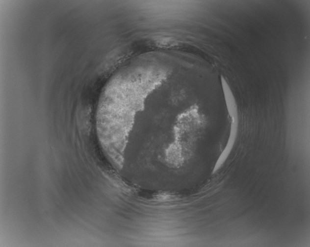 X0000076030319200610201834