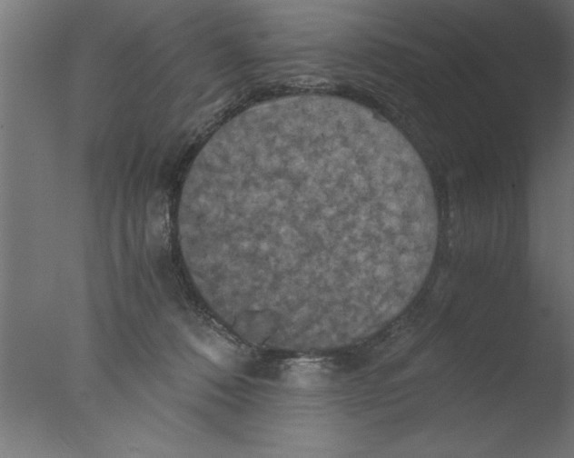 X0000076030320200610201834