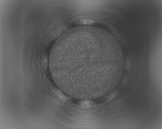 X0000076030321200610201834