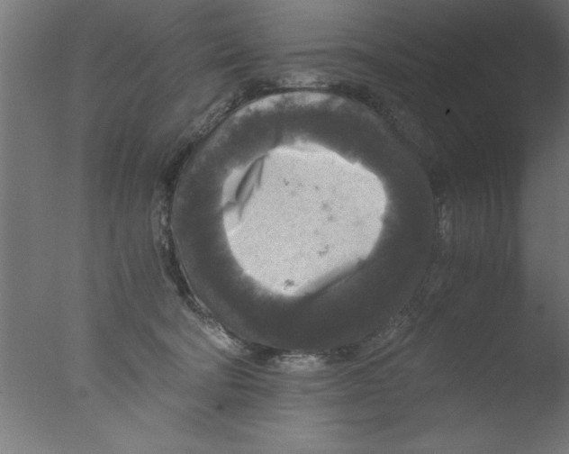 X0000076030322200610201834