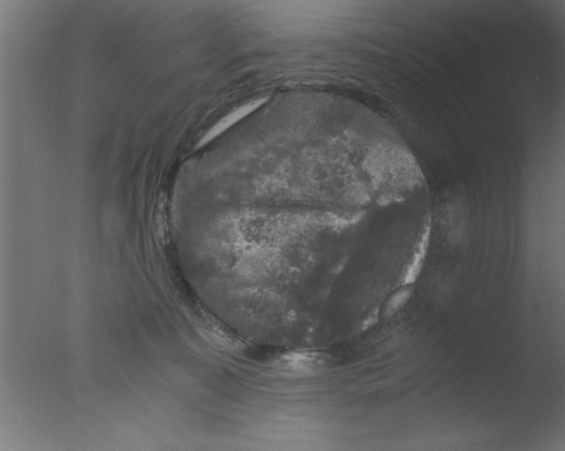 X0000076030323200610201834