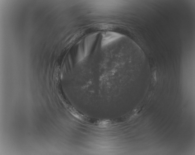 X0000076030325200610201834