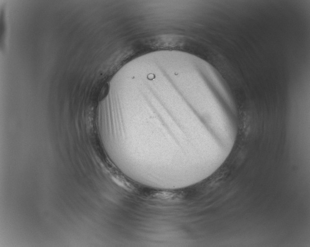 X0000076030326200610201834