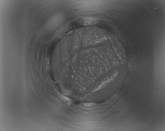 X0000076030327200610201834