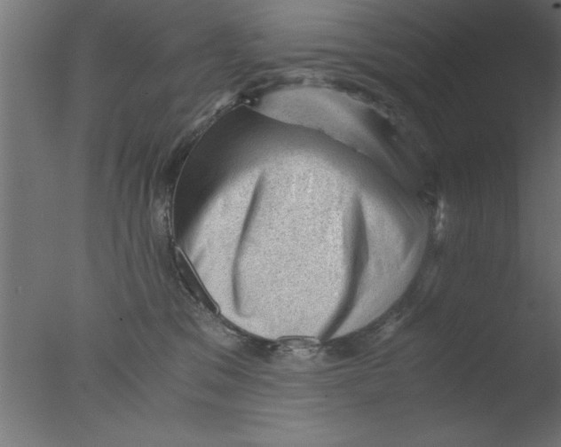 X0000076030329200610201834