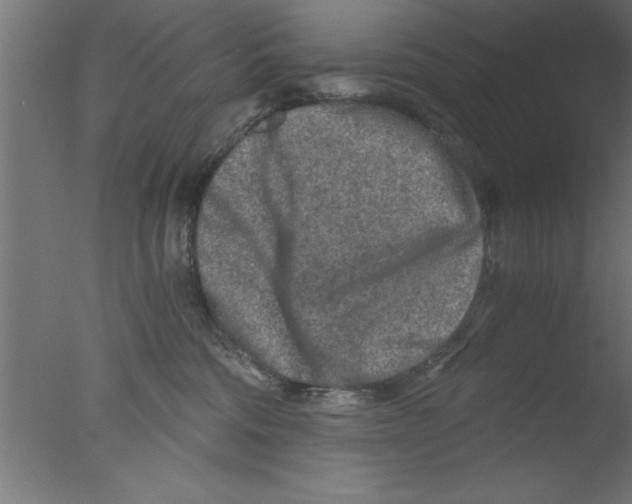 X0000076030330200610201834