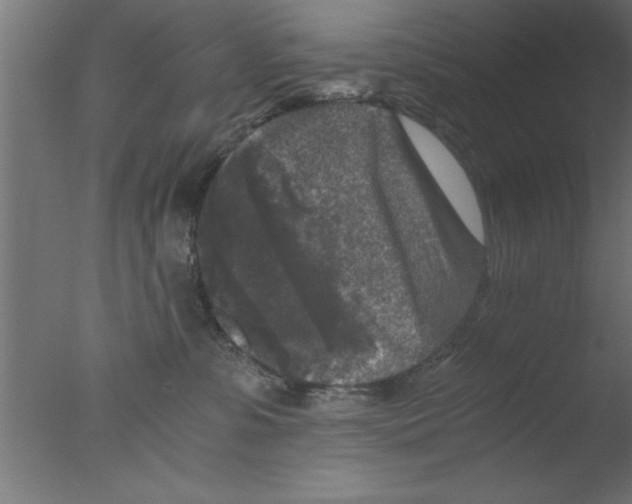 X0000076030331200610201834