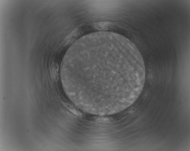 X0000076030332200610201834