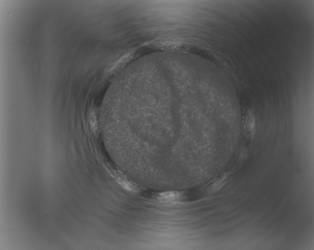 X0000076030335200610201834