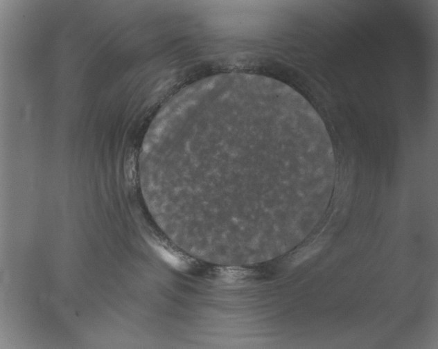 X0000076030336200610201834