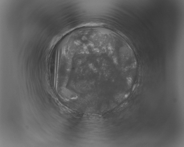 X0000076030337200610201833