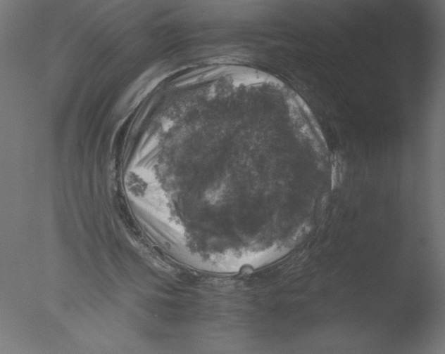 X0000076030339200610201833