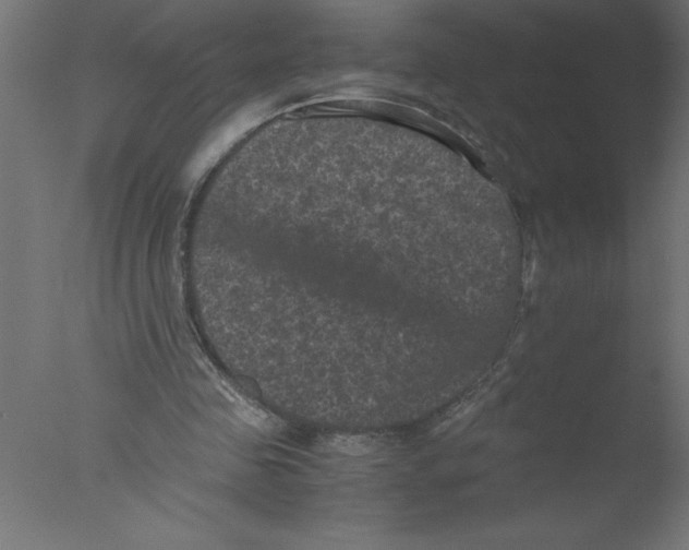 X0000076030341200610201833