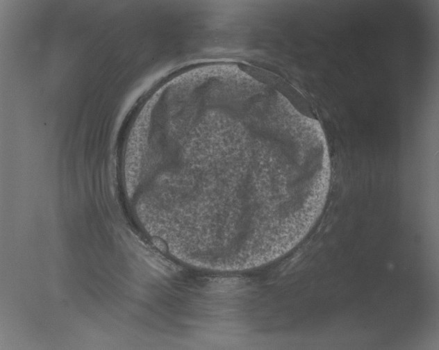 X0000076030342200610201833