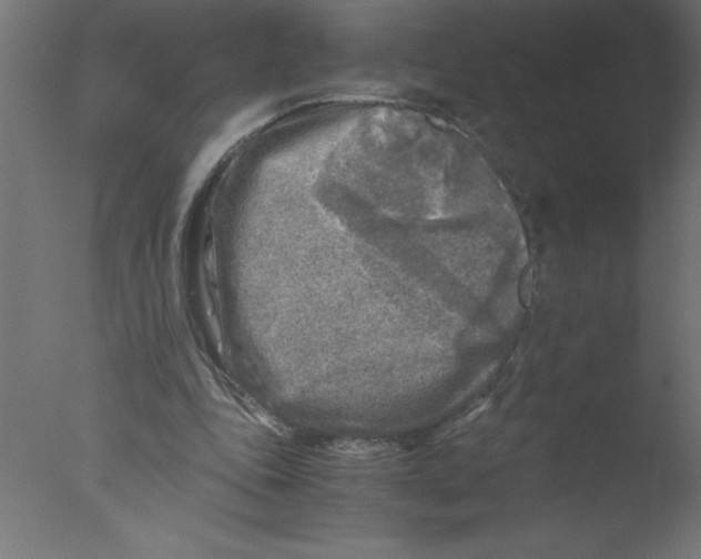 X0000076030343200610201833