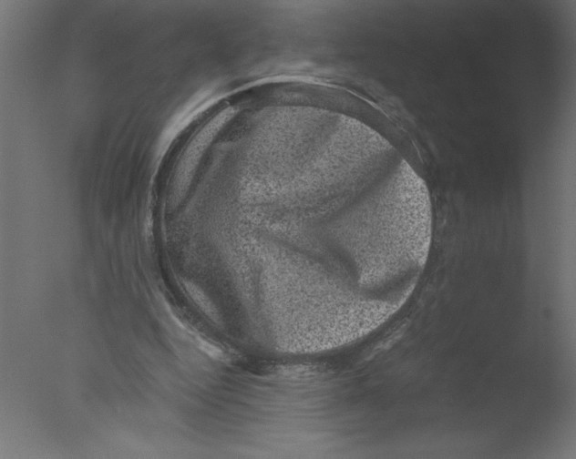 X0000076030344200610201833