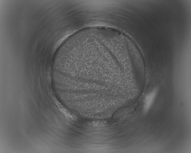 X0000076030345200610201833