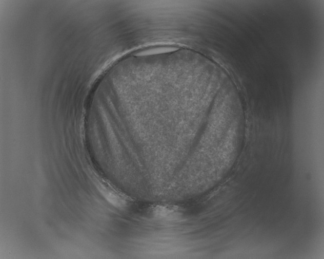 X0000076030346200610201833