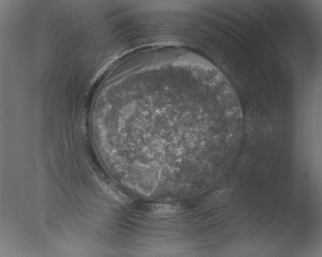 X0000076030347200610201833