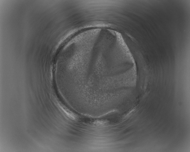 X0000076030350200610201833