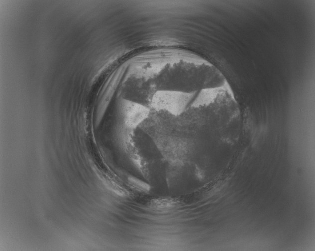 X0000076030351200610201833