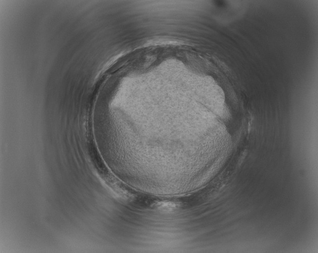 X0000076030352200610201833