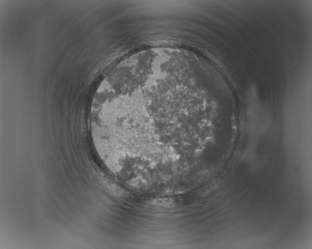 X0000076030353200610201833