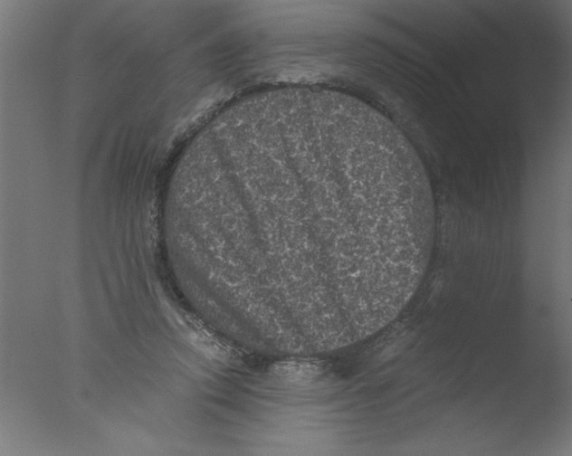 X0000076030354200610201833