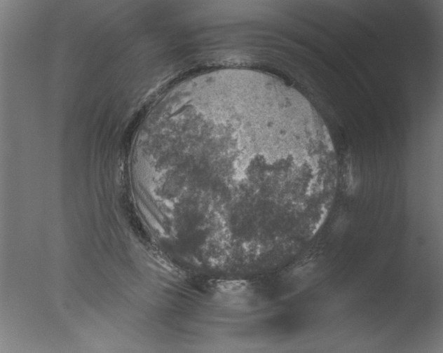 X0000076030355200610201833