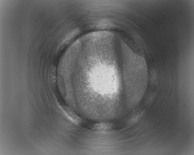 X0000076030356200610201833