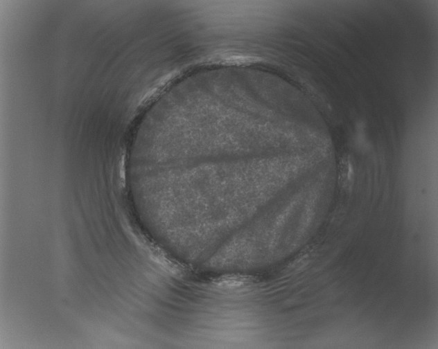 X0000076030358200610201833