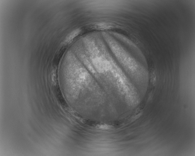 X0000076030360200610201833