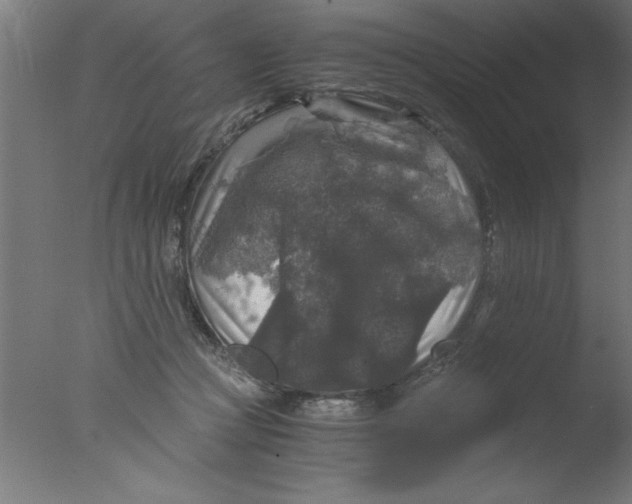 X0000076030361200610201833