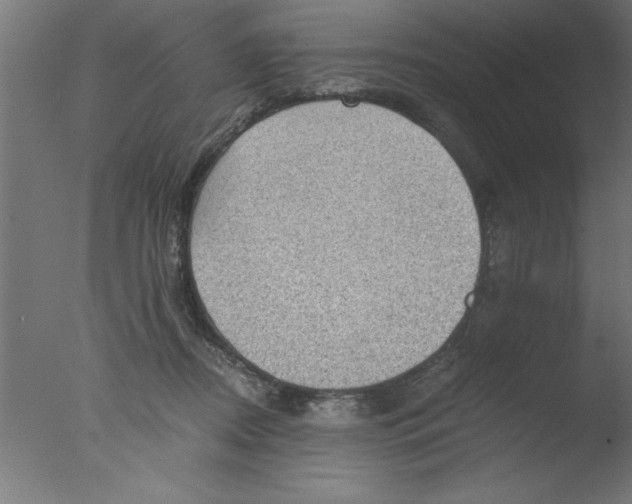 X0000076030362200610201833