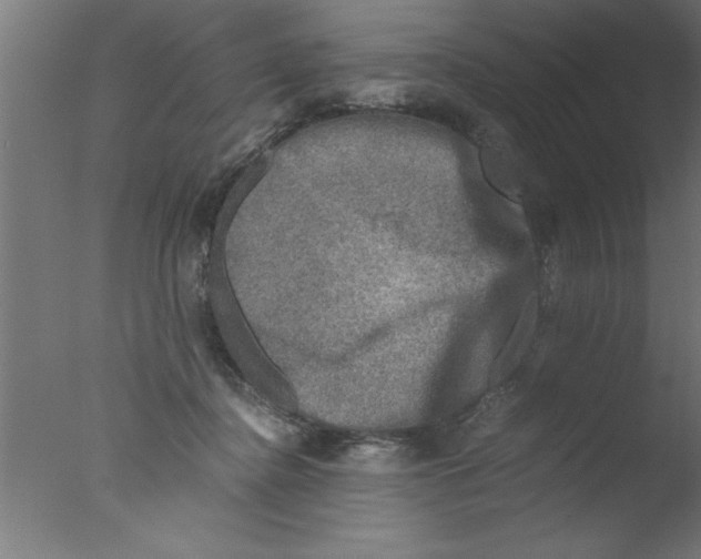 X0000076030364200610201833