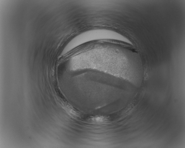 X0000076030365200610201833